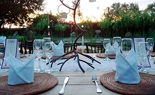 empresa de eventos empresa de eventos